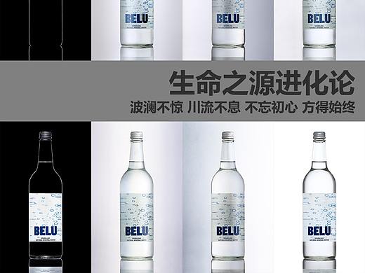 生命之源进化论