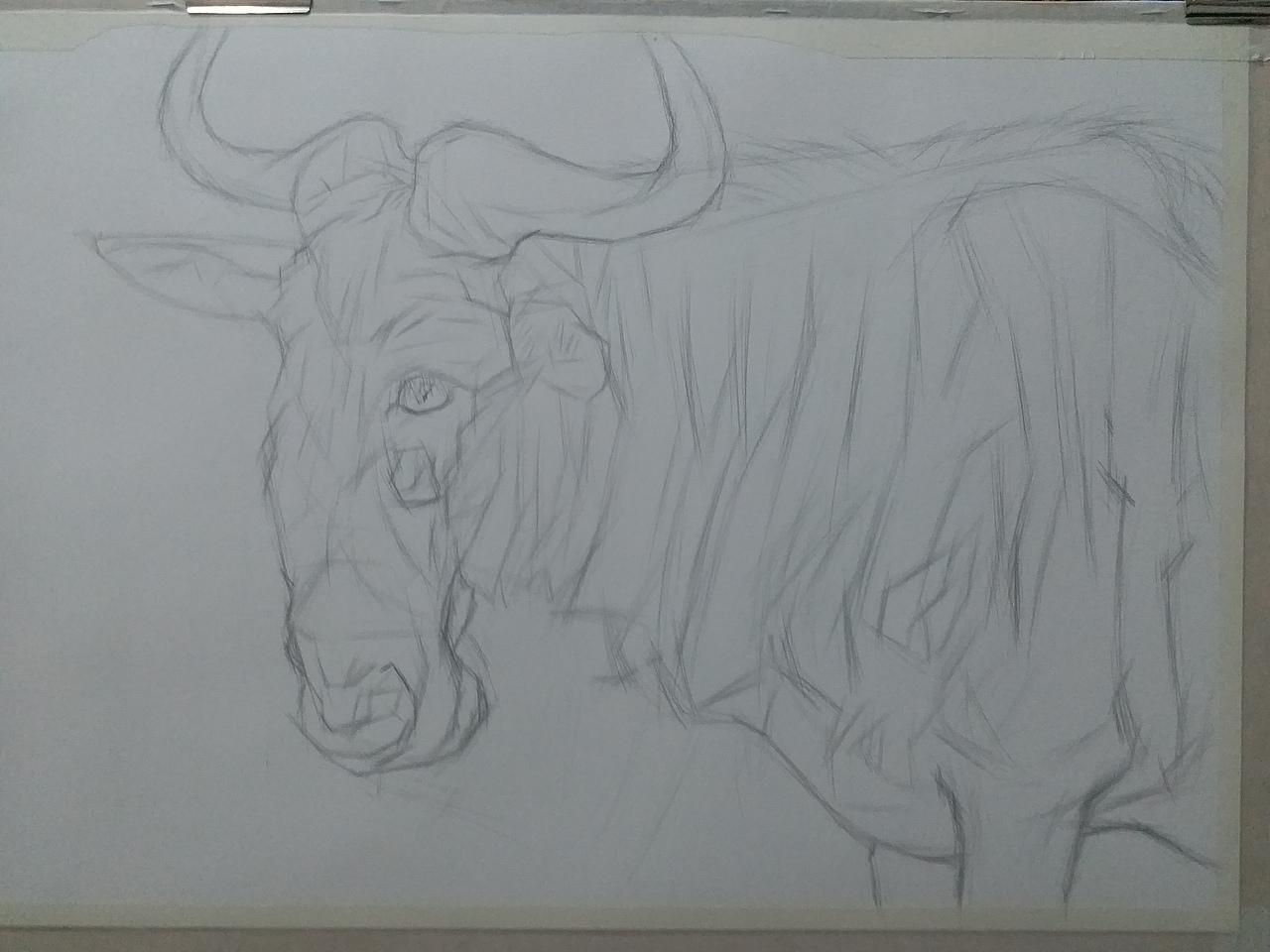 大KAI动物钢笔画《角马》