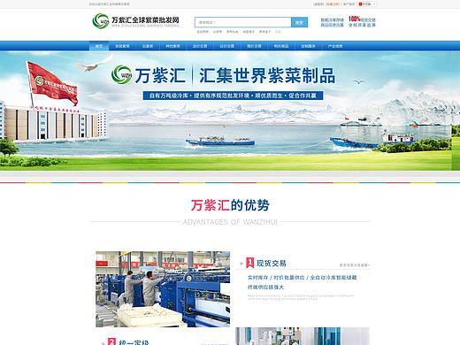 B2B网页,企业官网