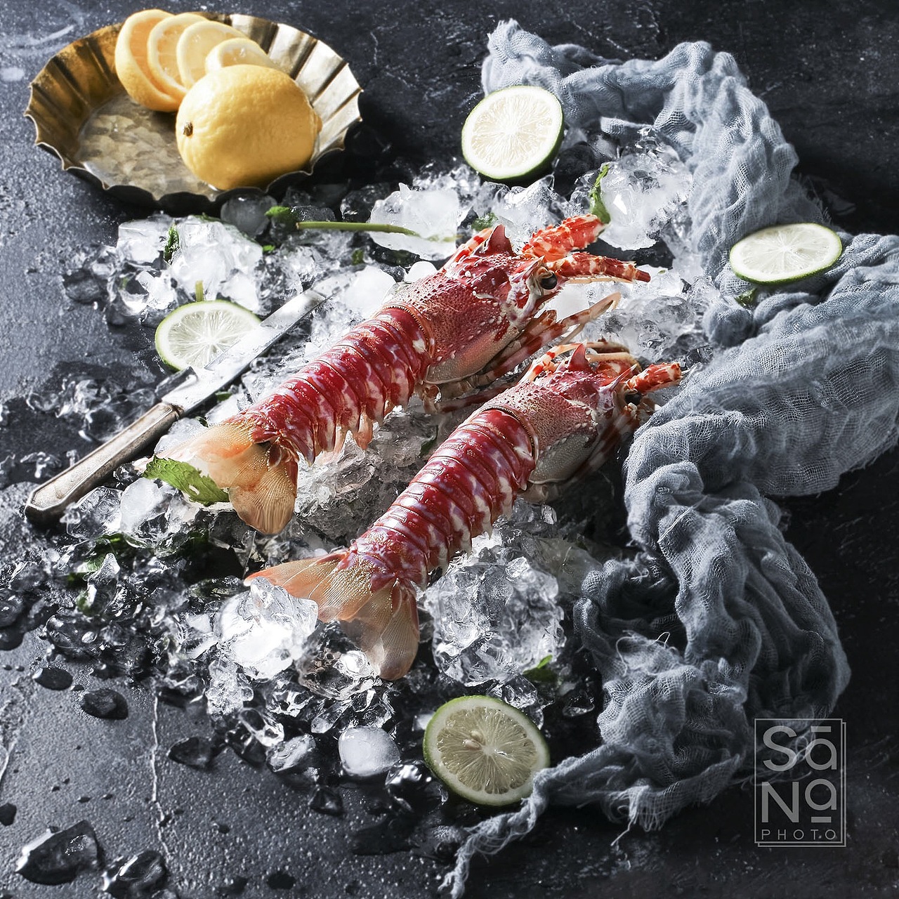 虾虾虾虾虾X生鲜拍摄