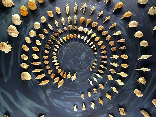 展厅设计/展馆/浙江自然博物院安吉馆