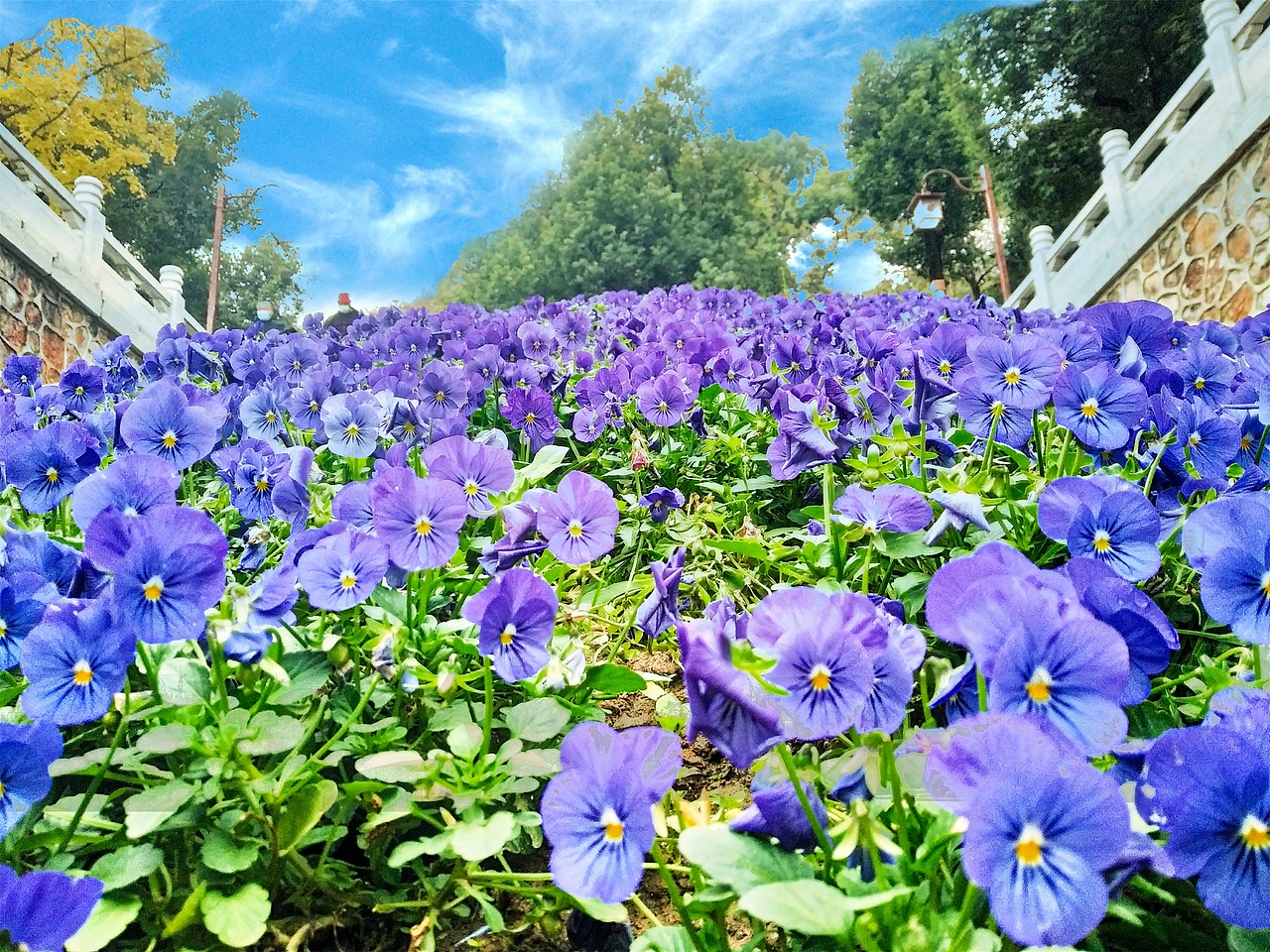 登黄鹤楼（图ZMjM1MDUzMTY4） - 环境/建筑摄影 - 站酷设计师菜到扣jo的设计师原创素材 - 站酷ZCOOL