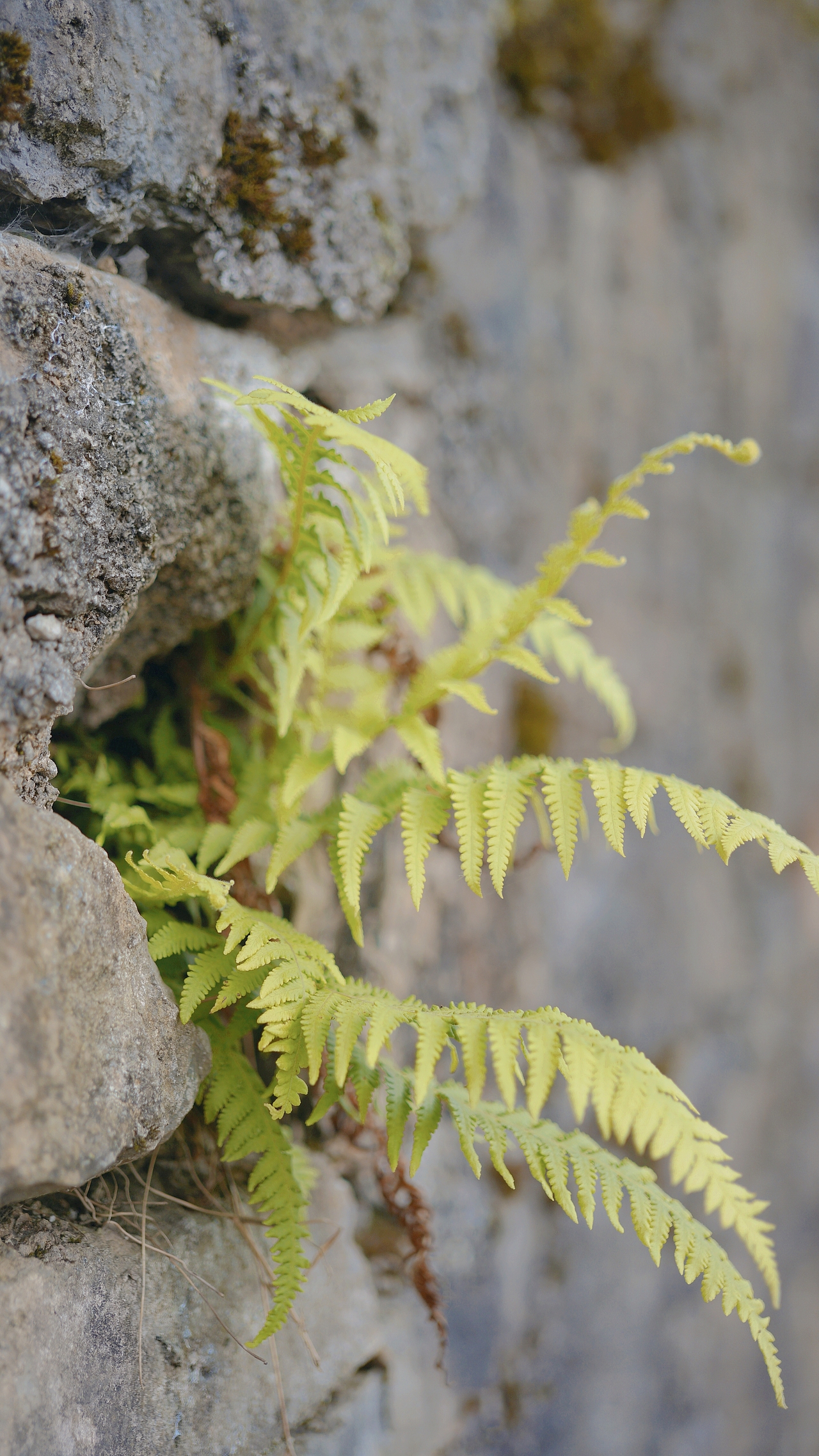 春风里 ~随处都是生机