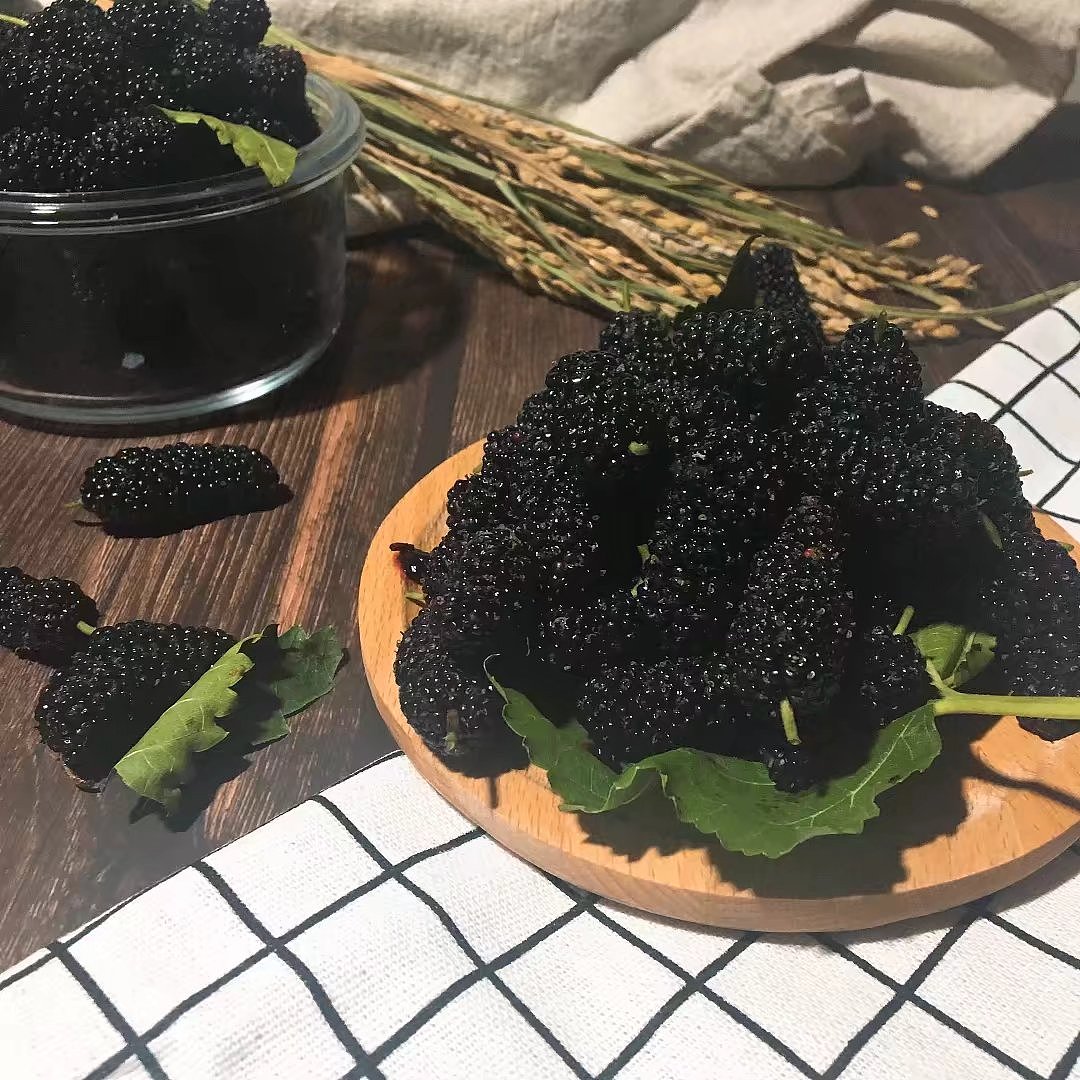 桑葚（图ZMTA5ODYyMTAw） - 产品摄影 - 站酷设计师panda0222原创素材 - 站酷ZCOOL