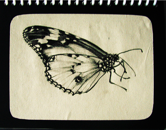 butterfly系列综合练习