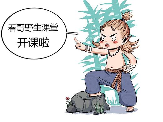 【春哥课堂】手臂肌肉到底怎么画？（理解+练习）