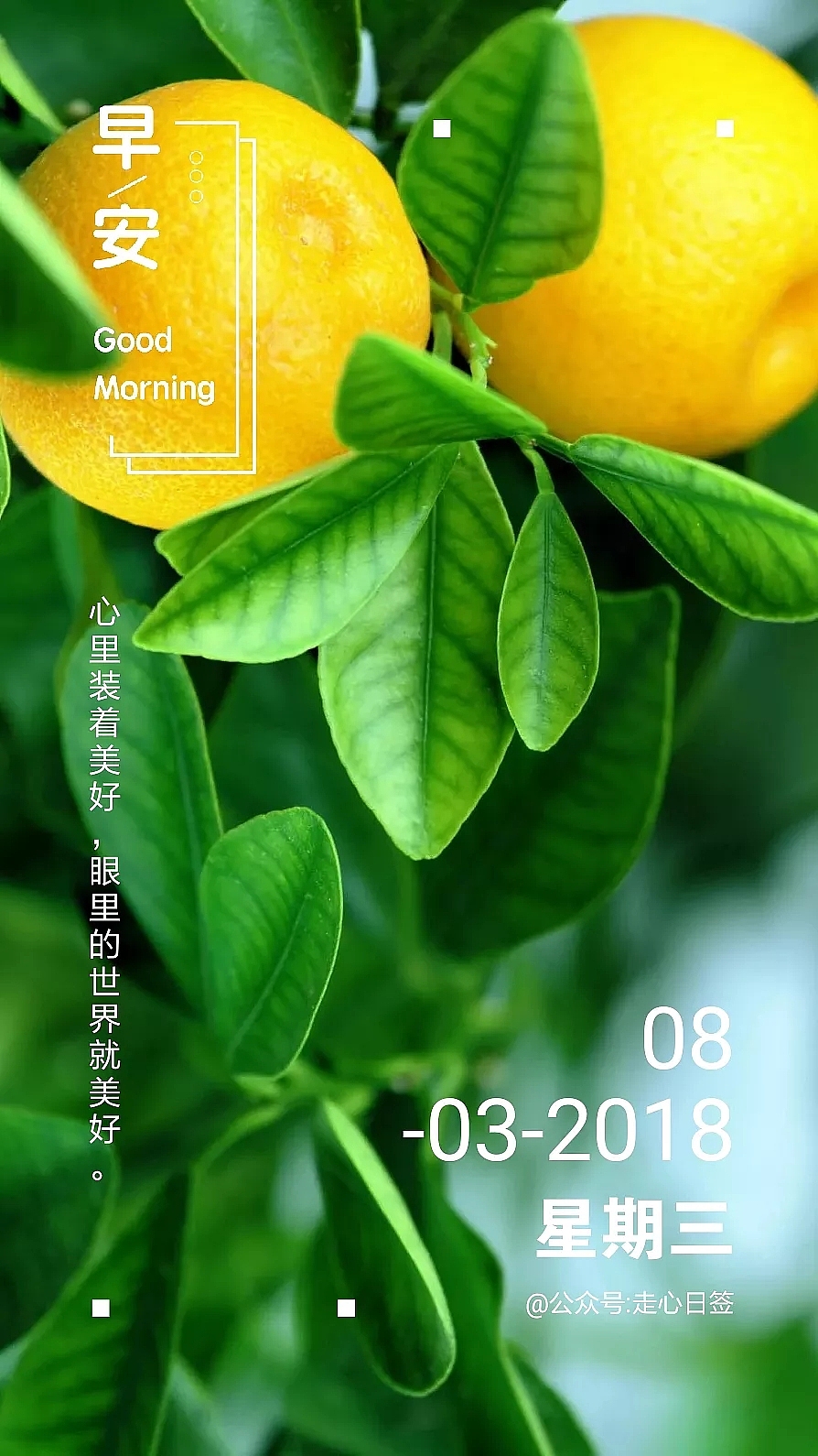 每日一图（图ZMTA2OTE2NTQw） - 品牌 - 站酷设计师进口货vhjj原创素材 - 站酷ZCOOL