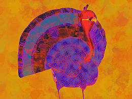 fire  Chicken on fire  火鸡 Burning chicken turkey