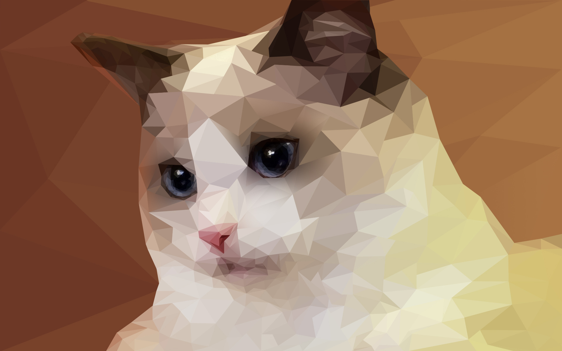 low-poly cat