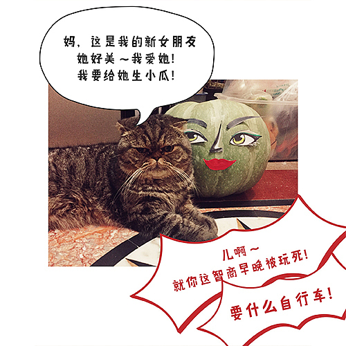 就这么混吃等死,挺好~3