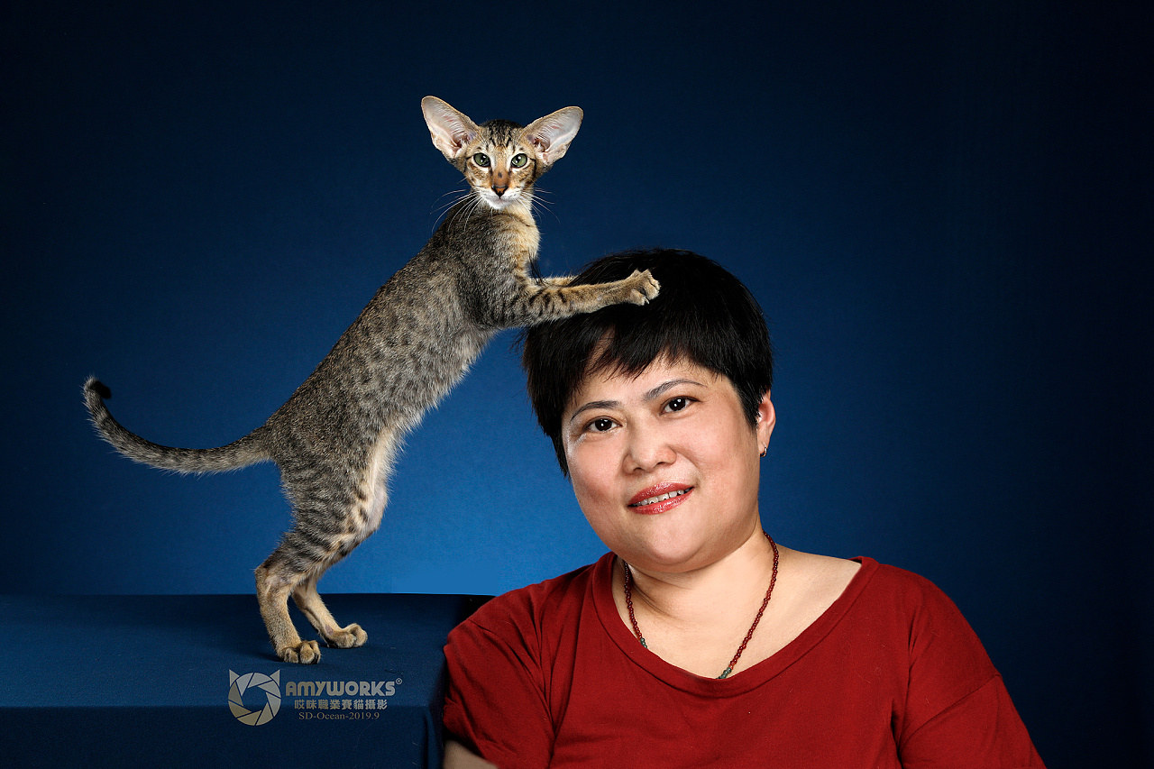 amywokrs九月山东旅拍人猫合影