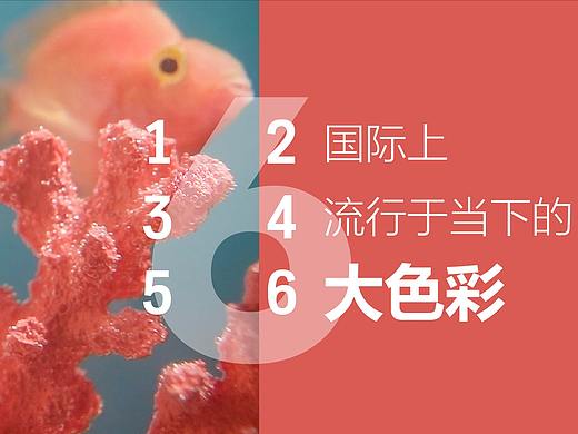 [海平面]国际上，流行当下的六大色彩