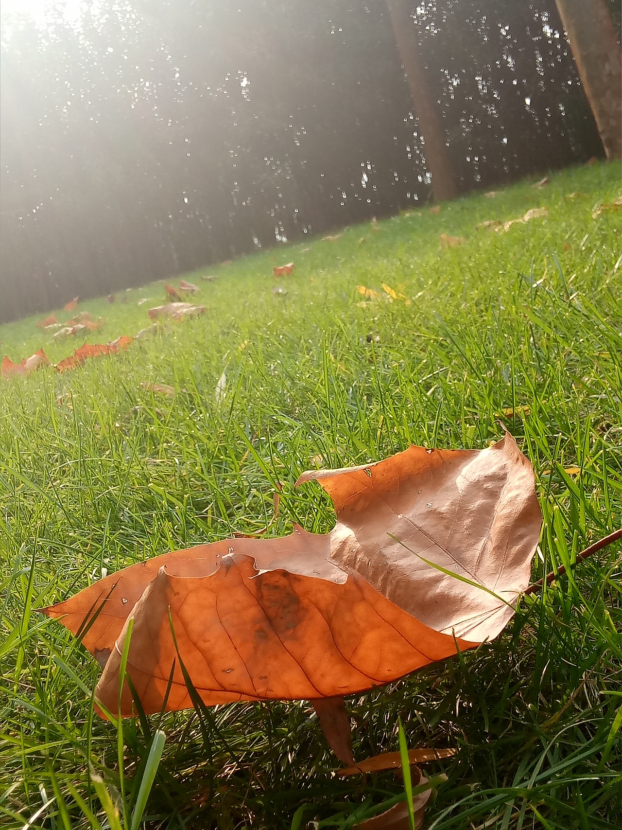 摄影（图ZMTg0OTU5NDI0） - 风光摄影 - 站酷设计师沫瑶宝贝吖原创素材 - 站酷ZCOOL