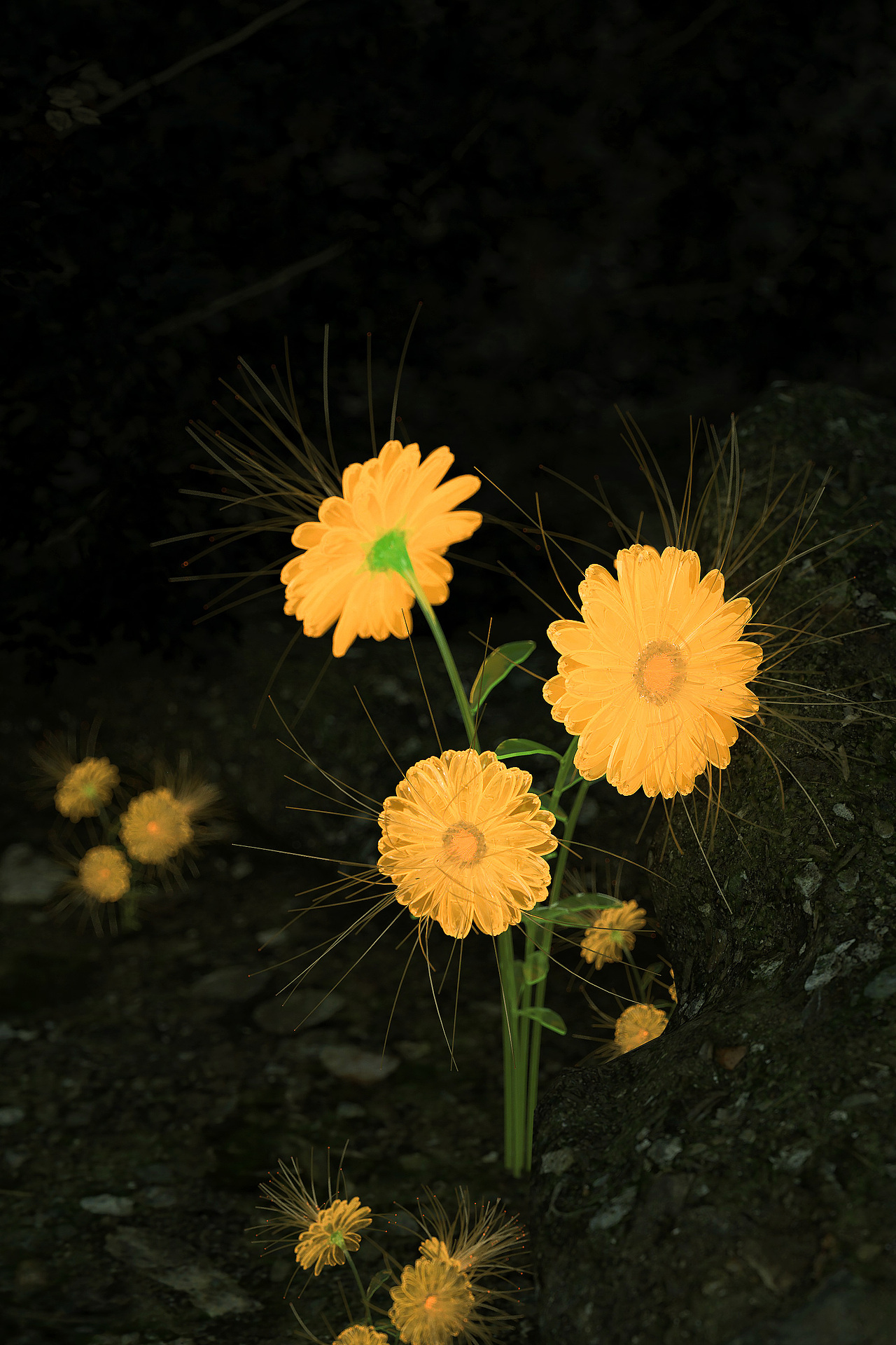 0基础学员作品04