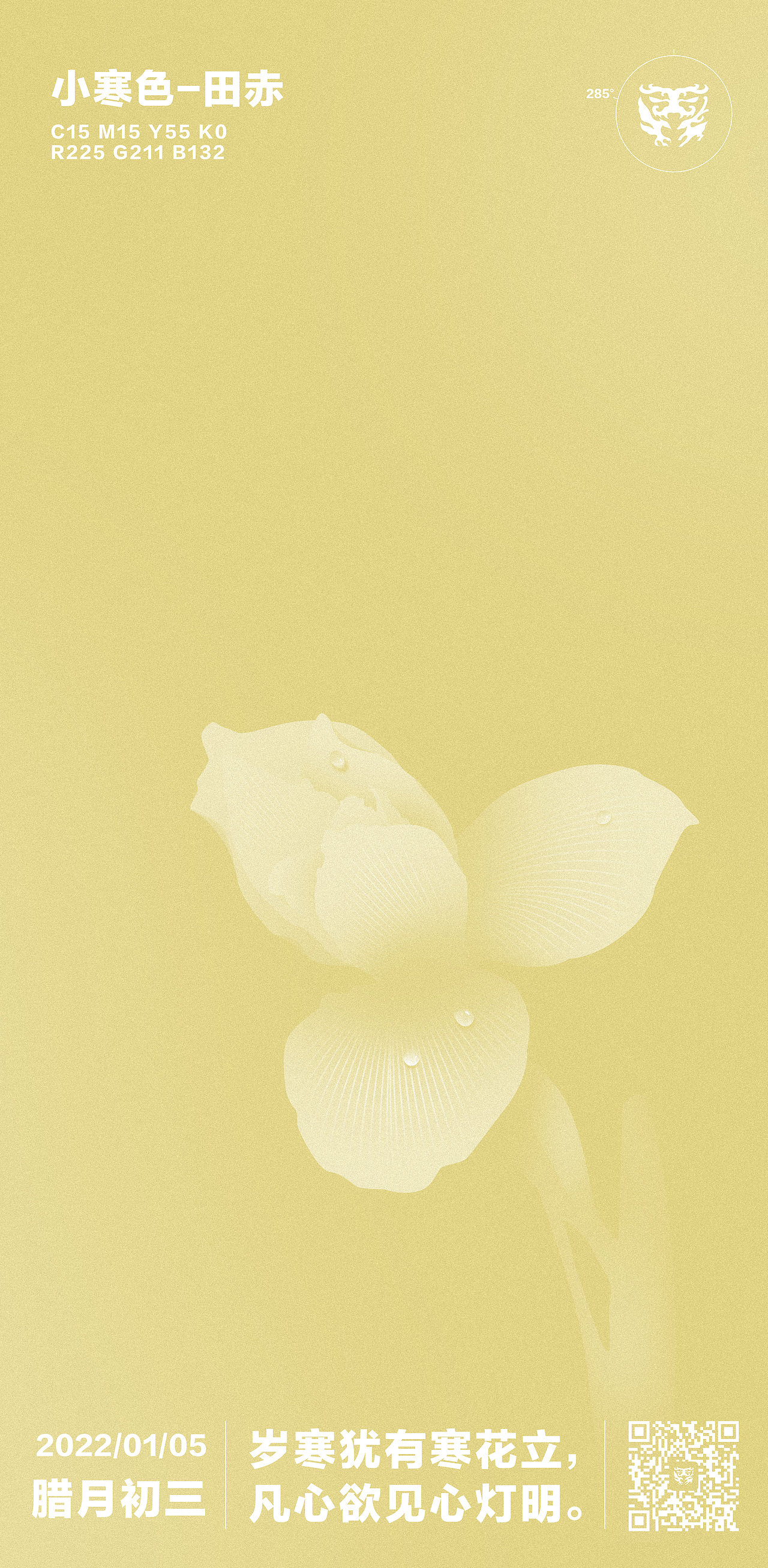 节日节气海报——小寒