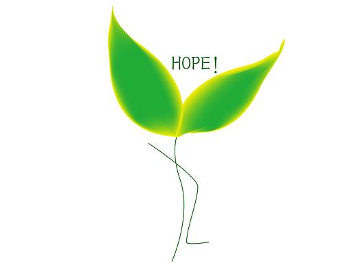 初生般慢慢成长