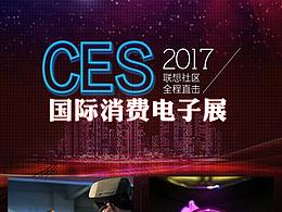 CES项目
