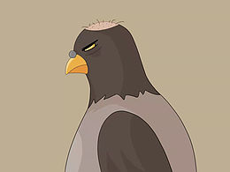 鸽Ger - NFT 插画设计