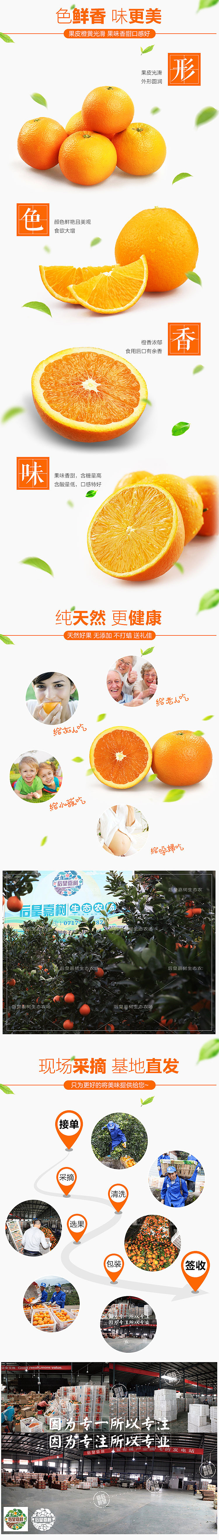 伦晚 橙子详情页（图ZODAzNTU1NjA=） - 电商 - 站酷设计师似燕归来原创素材 - 站酷ZCOOL