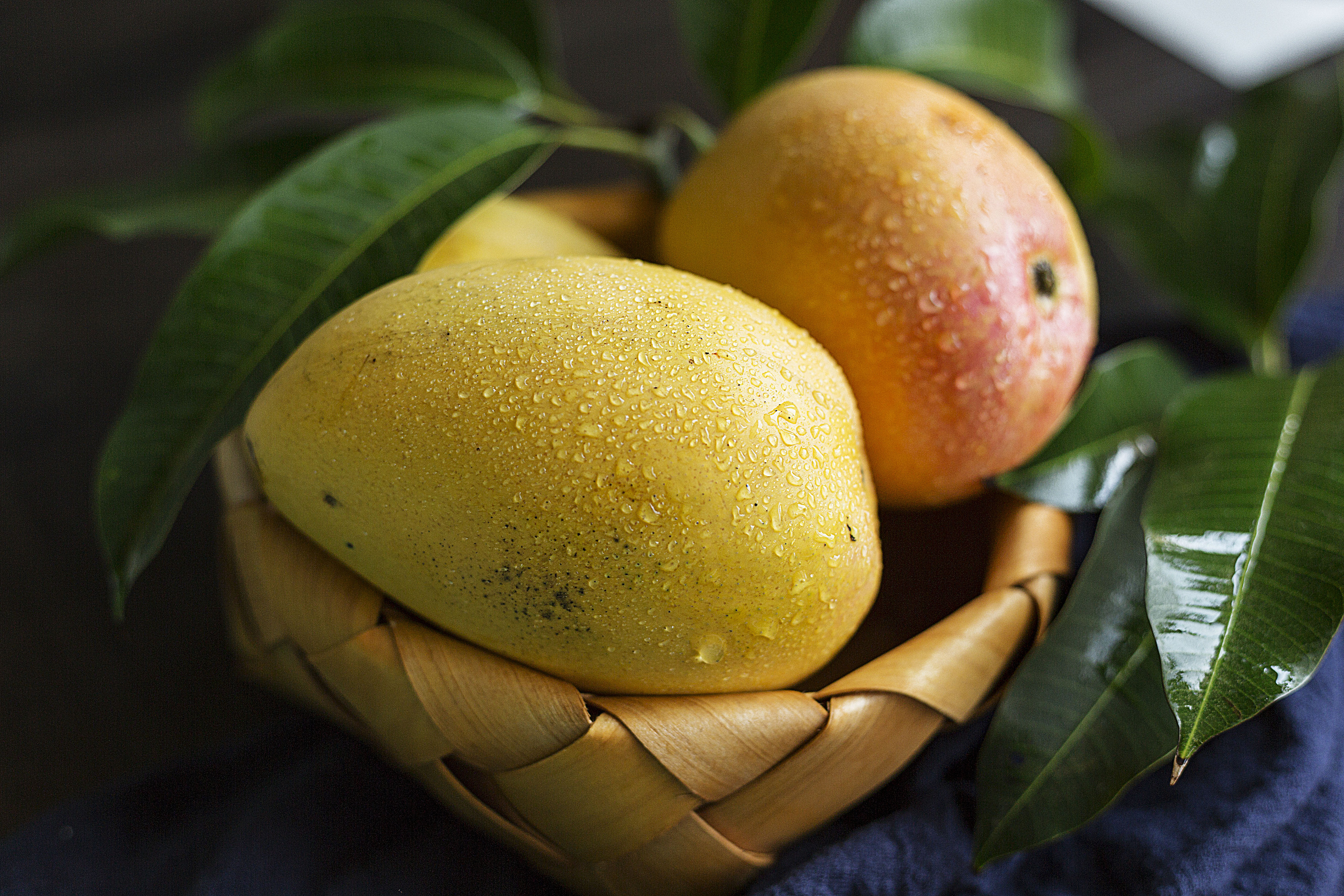 应季水果-芒果拍摄-广西百色芒果-大台农