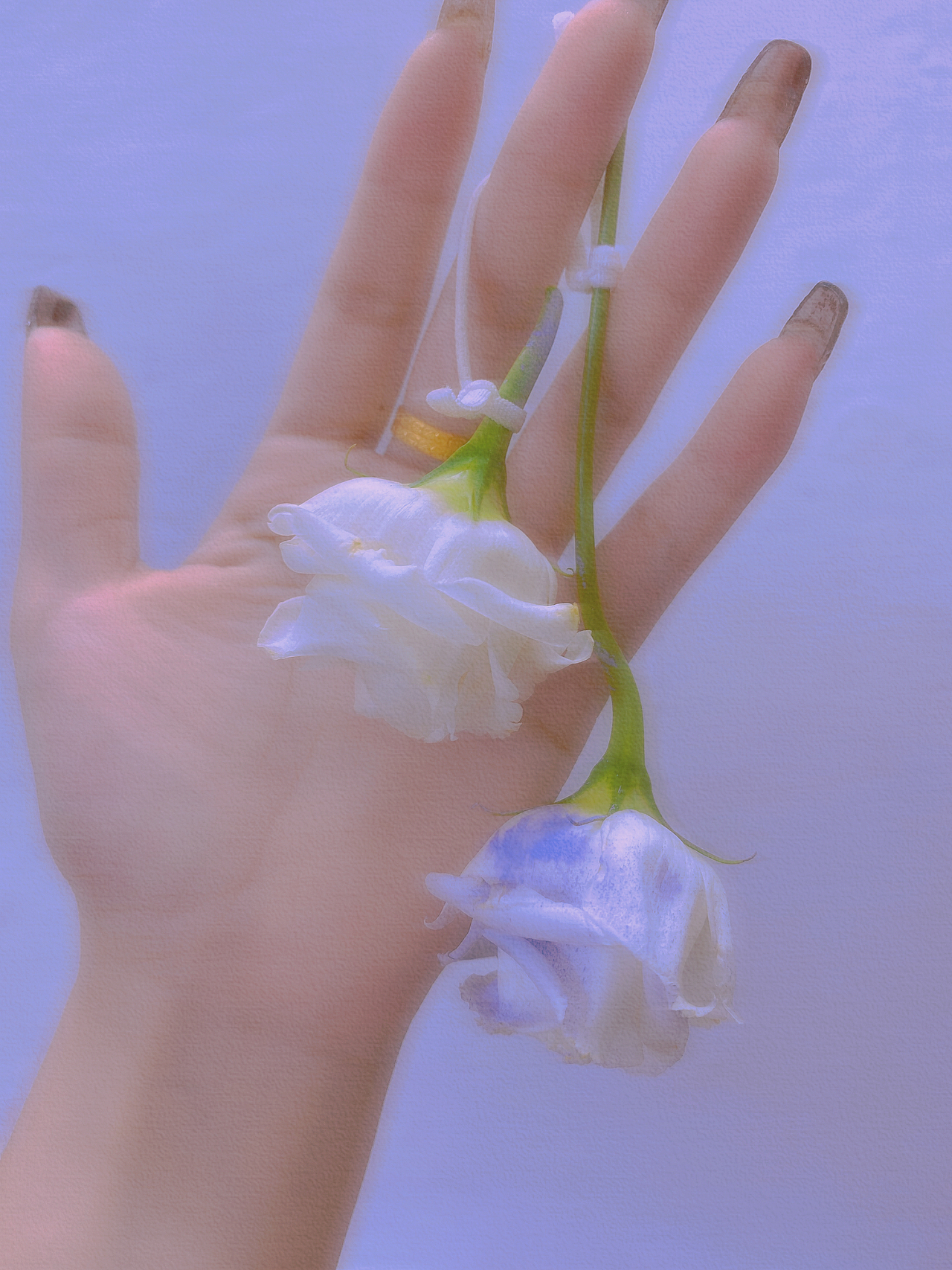 艺术的另一个名字叫欣赏