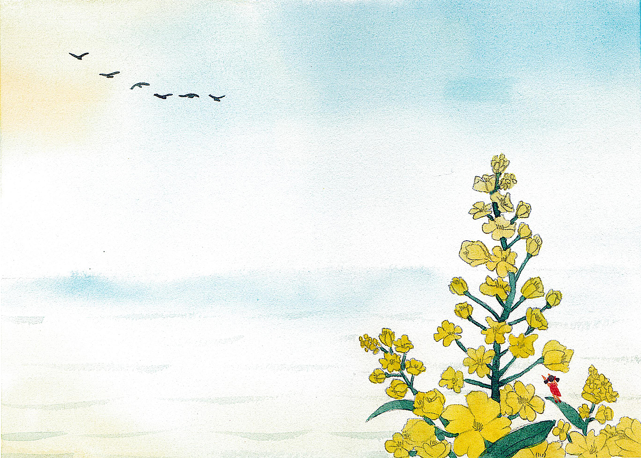 《宿鸭湖-风景图绘》