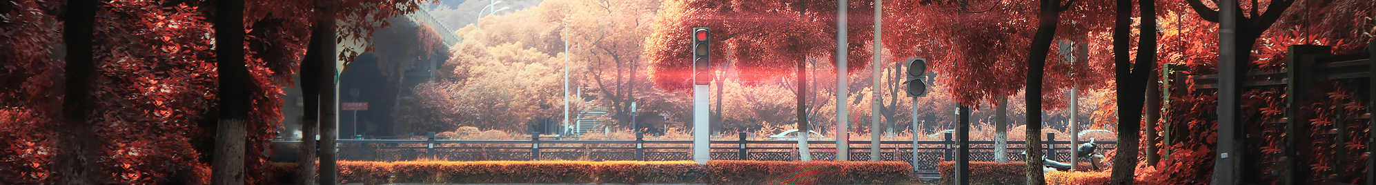 长桥菌的个人主页（封面预览） - 主页封面设置 - 站酷设计师长桥菌原创素材 - 站酷ZCOOL