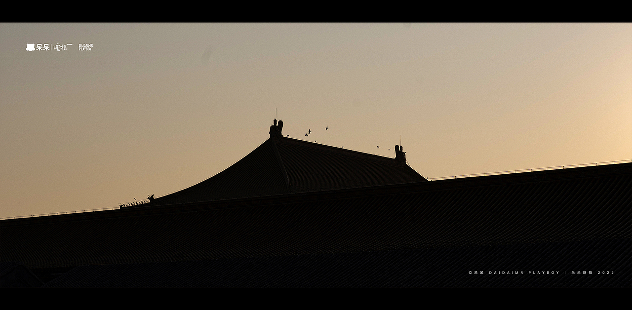 呆呆瞎拍 | 生活就像电影，要有仪式感（图ZMjg3NTYyMzIw） - 人文/纪实摄影 - 站酷设计师呆小东原创素材 - 站酷ZCOOL