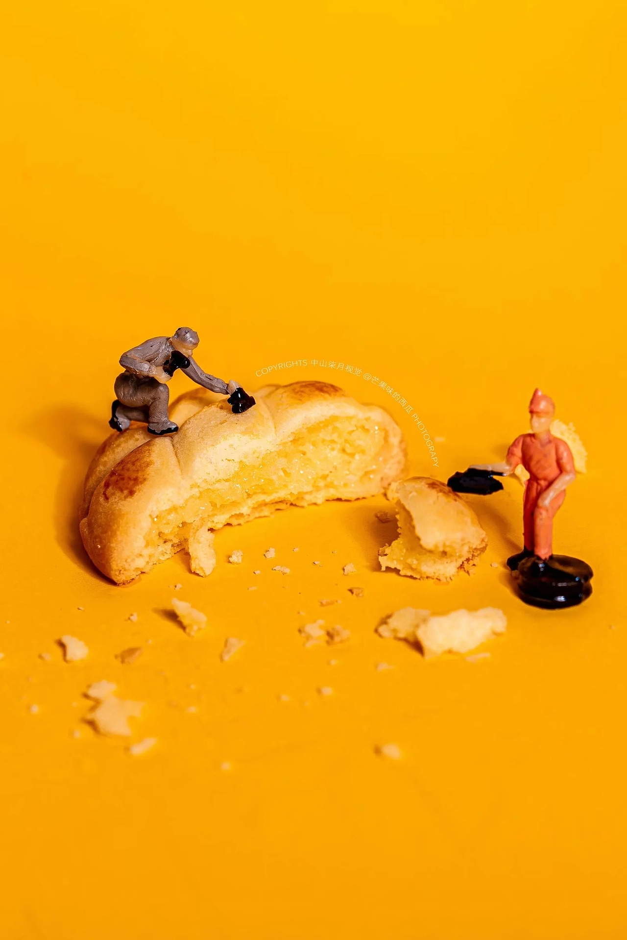 曲奇饼干 - 产品拍摄