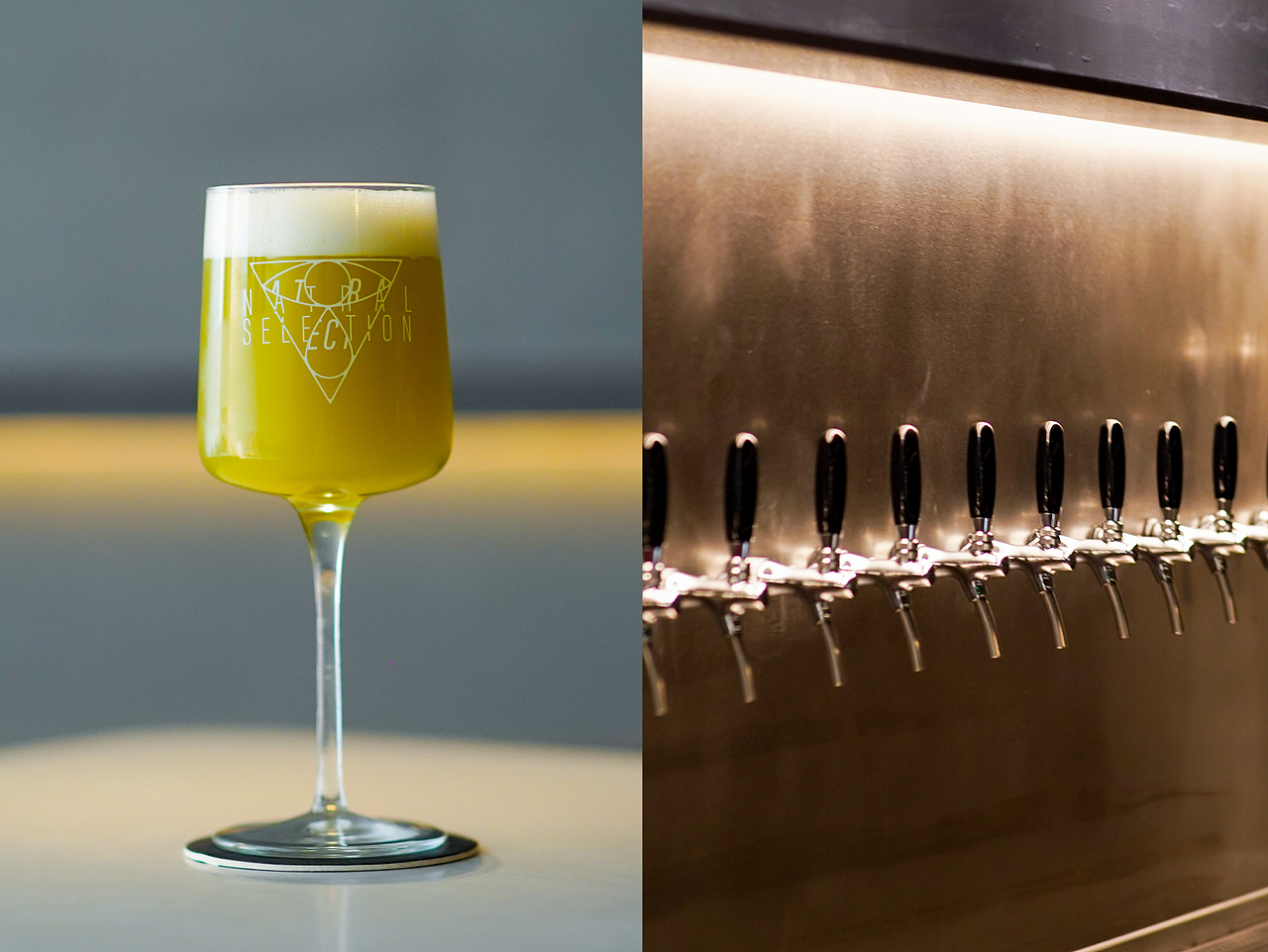 自然选择 精酿 酒吧 NATURAL SELECTION TAPROOM 