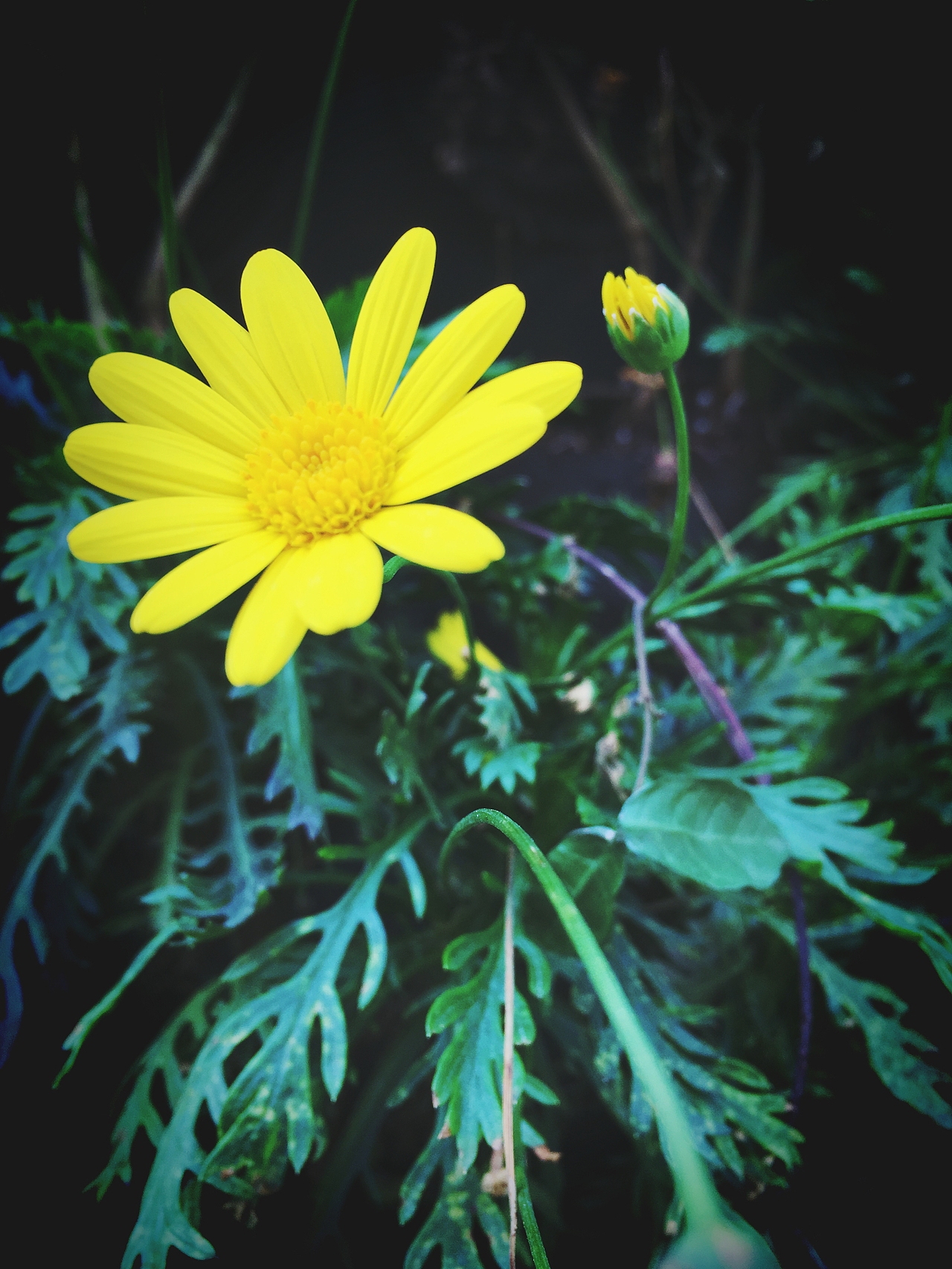 365摄影计划（2）（图ZNDM4MjU2ODA=） - 产品摄影 - 站酷设计师Pexels原创素材 - 站酷ZCOOL