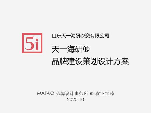 天一海研 大白鲨®️品牌设计