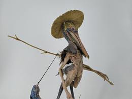 老人与海