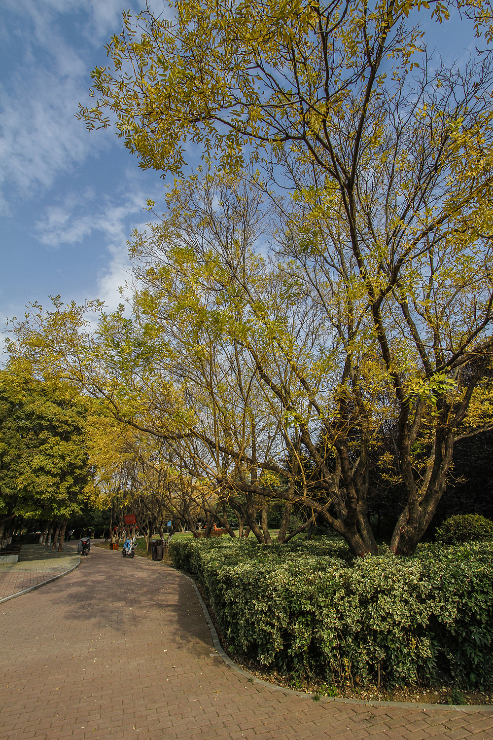 佳能7D实拍样张