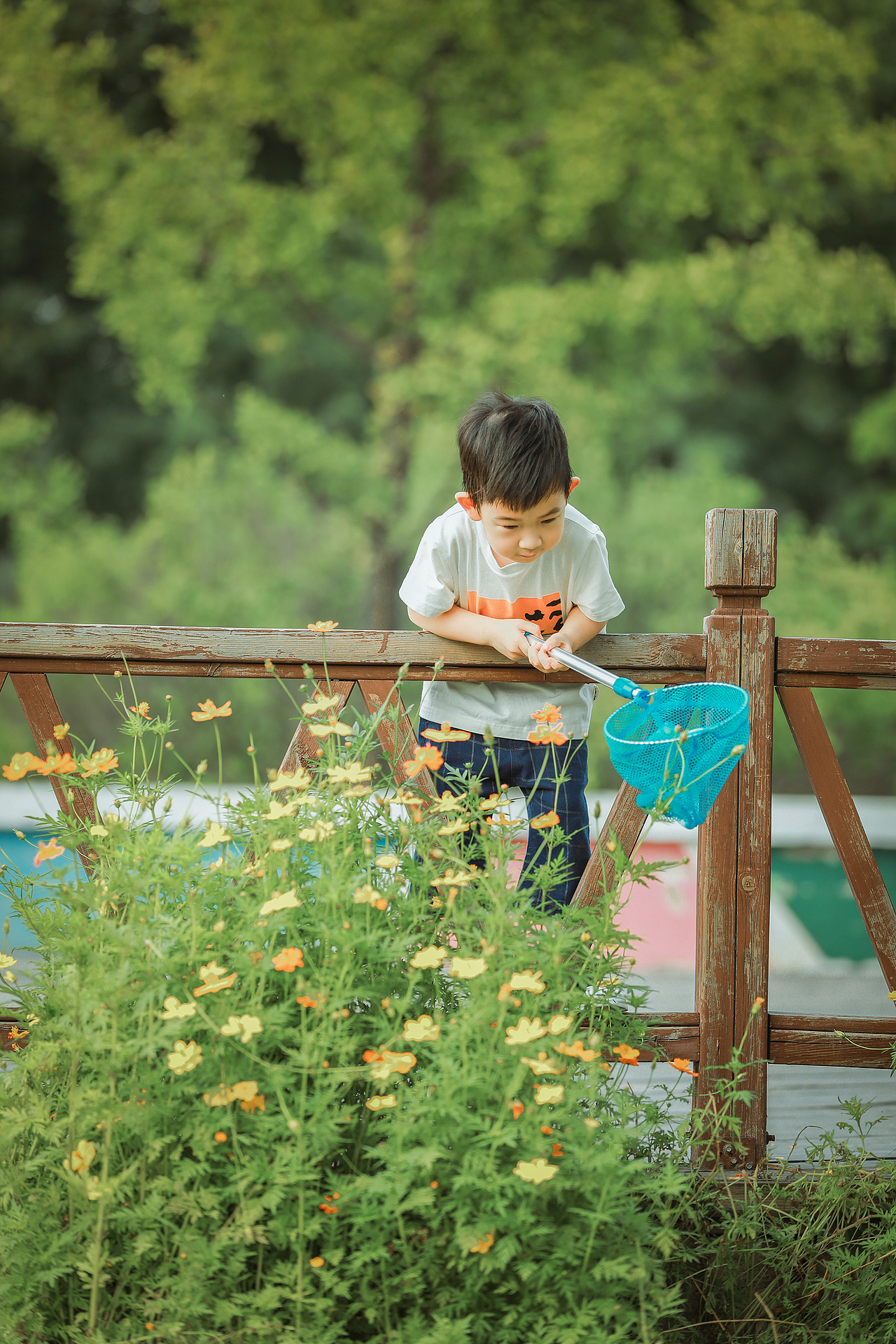 小希学长拍娃记 | 葵园童趣