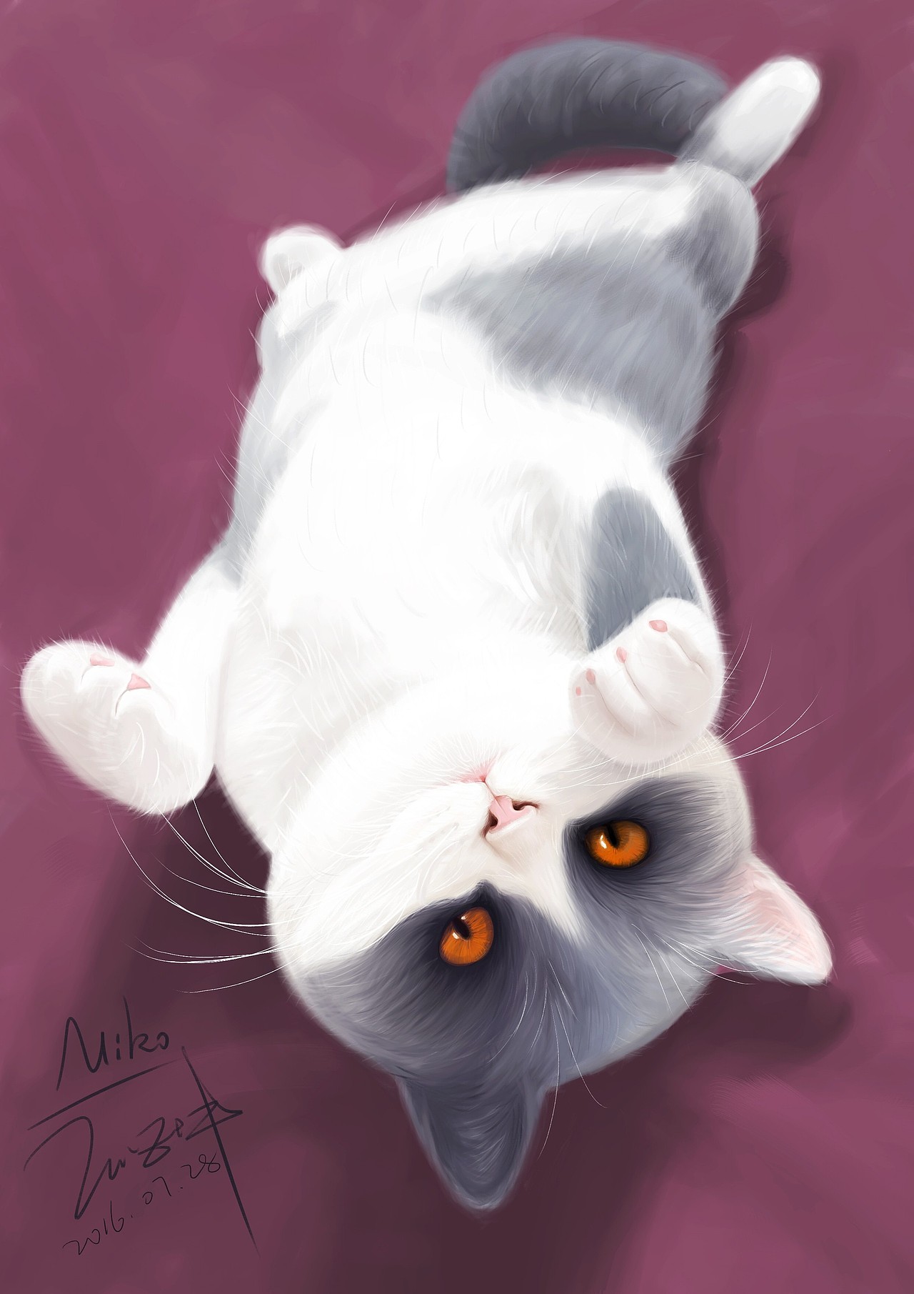 大儿子miko,一岁,蓝白英短.