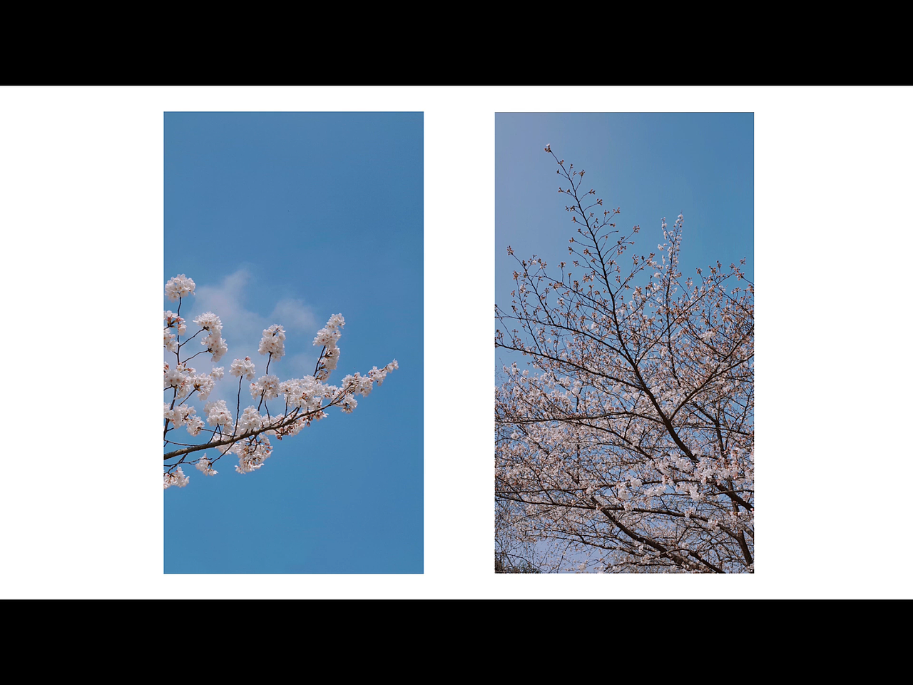 【浮生一梦】2021理光摄影作品总结