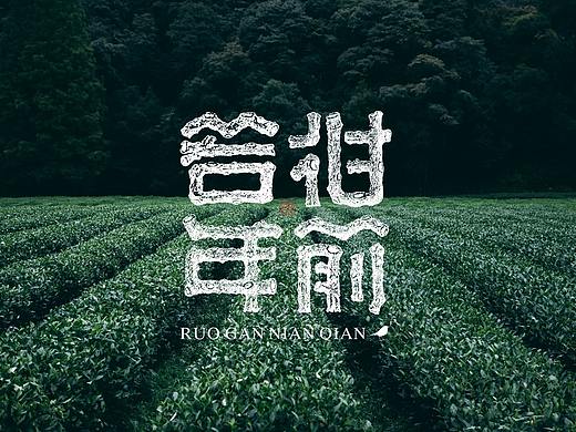 【若柑年前】新会陈皮茶/小青柑