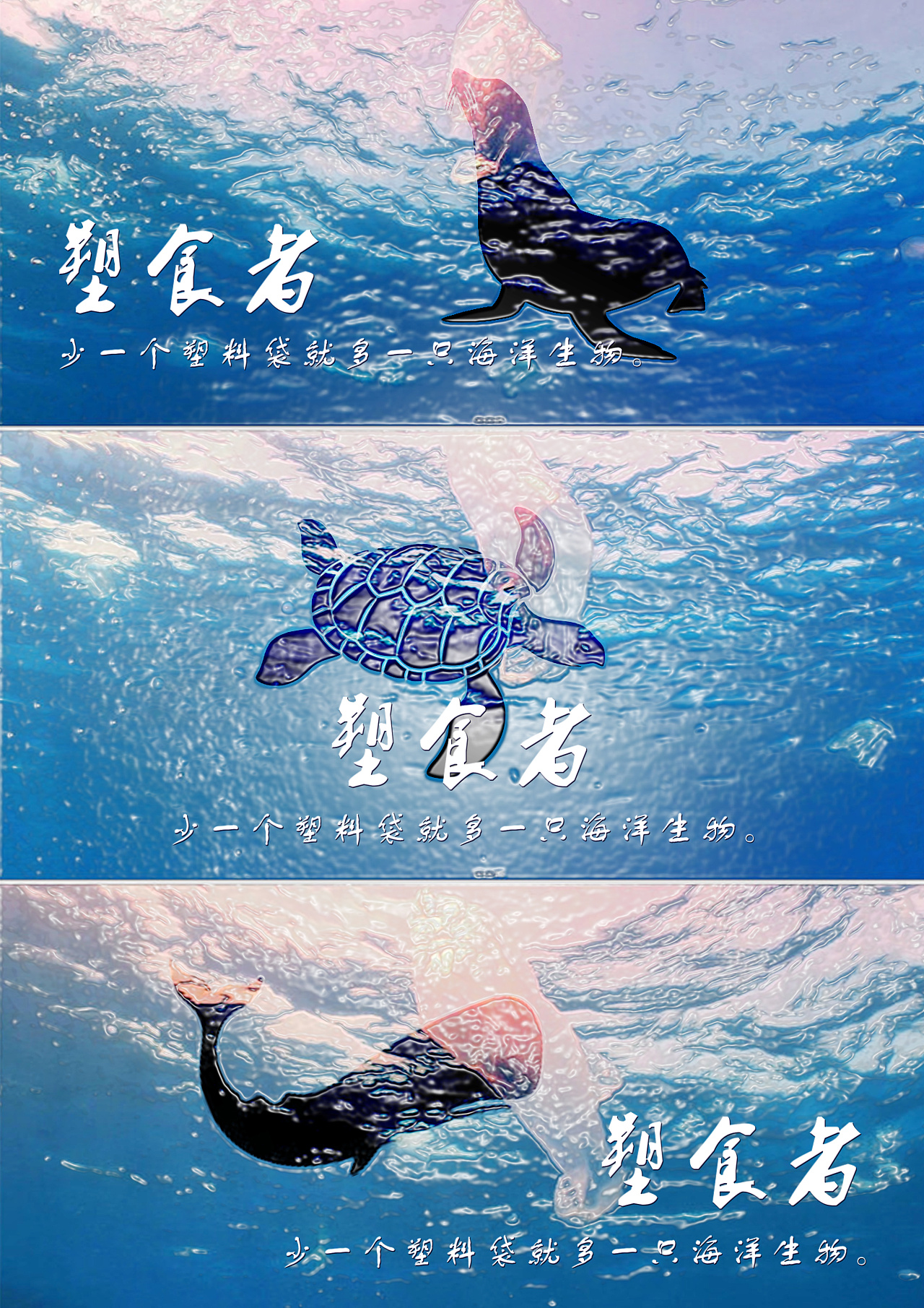 保护海洋动物创意海报|平面|海报|Wayne飞 - 原创作品 - 站酷 (ZCOOL)