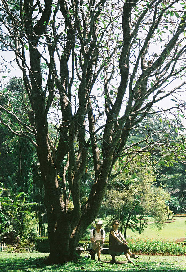 带着爸妈去旅行（图ZMjUzMTgyNzI=） - 人像摄影 - 站酷设计师Ms摄影艺术原创素材 - 站酷ZCOOL