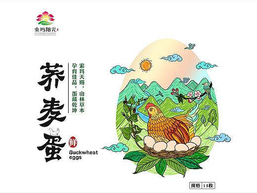鸡蛋包装设计，土鸡蛋包装，特产包装设计插画鸡蛋包装