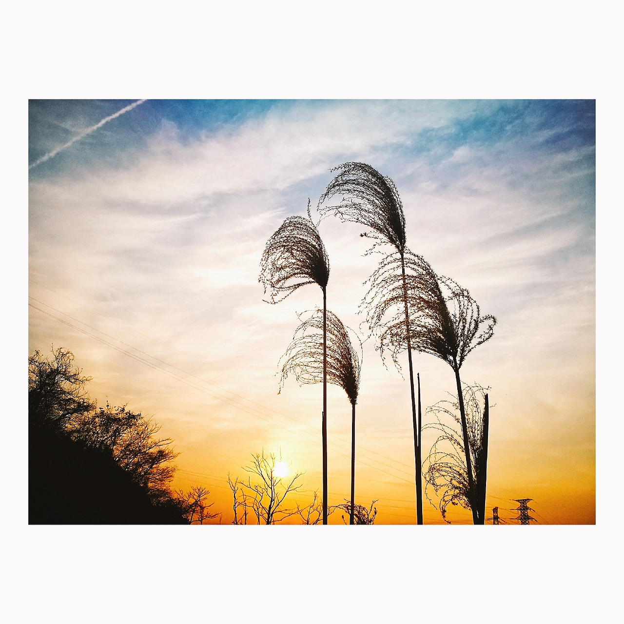 心情随拍。无题之作。（图ZNzU1NTI1NDg=） - 其他摄影 - 站酷设计师雨灵原创素材 - 站酷ZCOOL