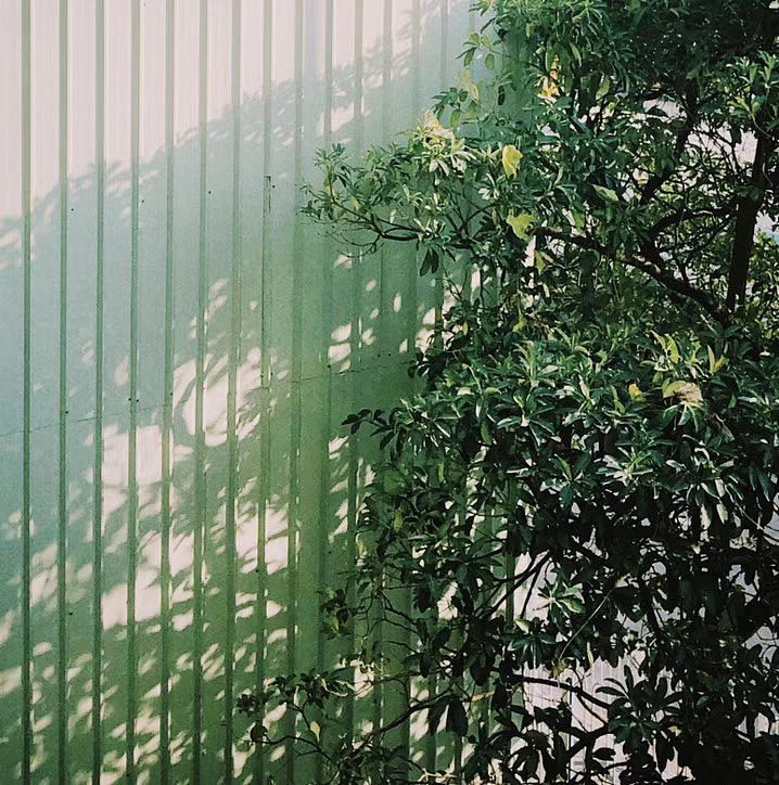 生活碎片 温柔可见（图ZMjEzNTc5Mjc2） - 风光摄影 - 站酷设计师九月ww原创素材 - 站酷ZCOOL