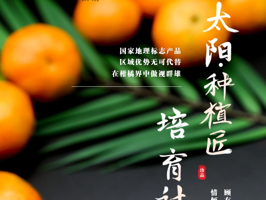 玉米