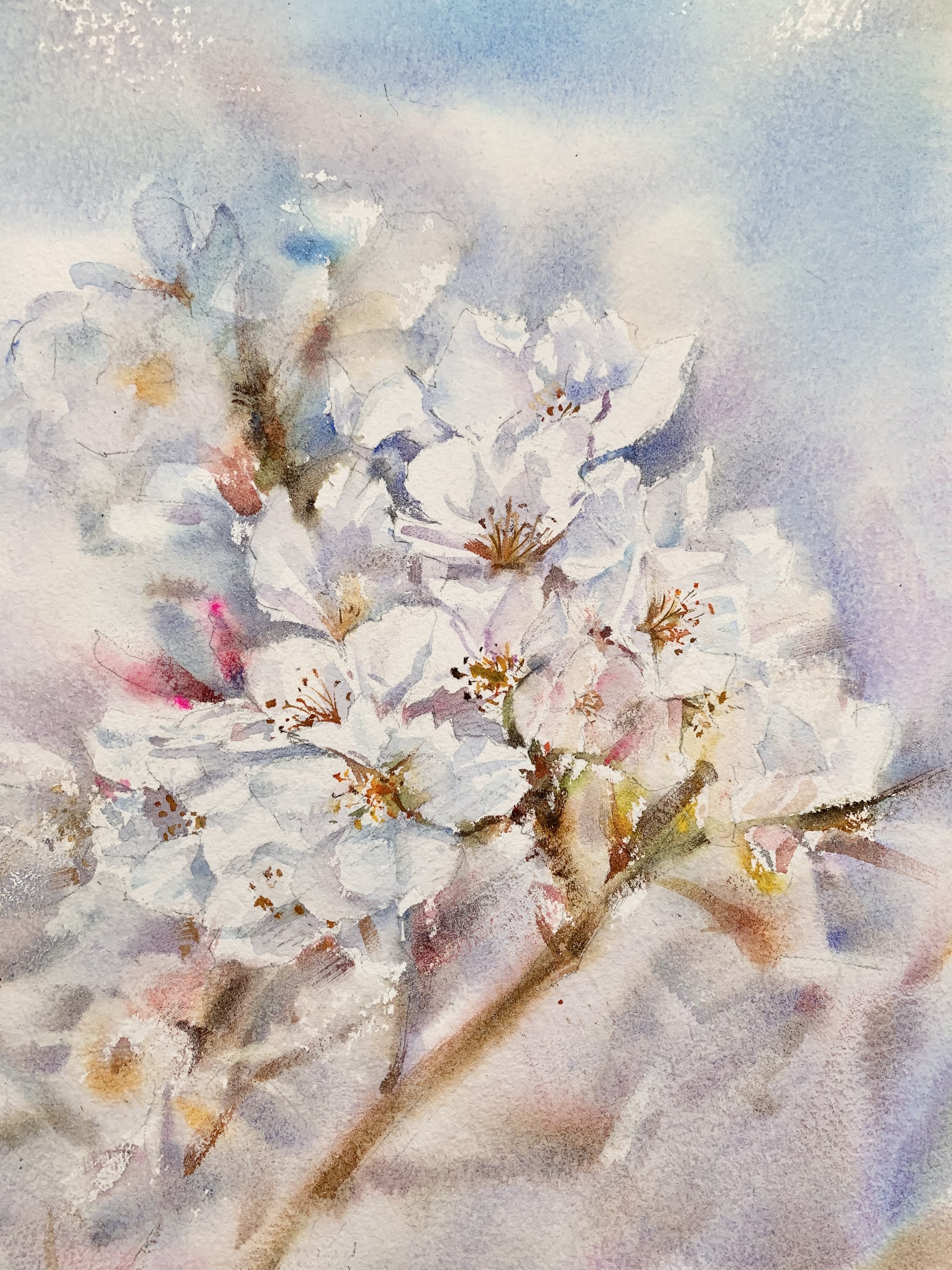 《飞到花丛中》|纯艺术|绘画|菜蔡水彩 - 原创作品 - 站酷 (zcool)