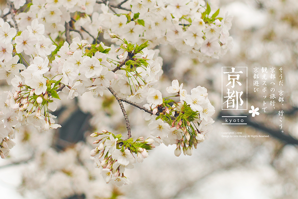 這些 那些 櫻花（图ZNDY5NTU2MzY=） - 风光摄影 - 站酷设计师jolinivy原创素材 - 站酷ZCOOL