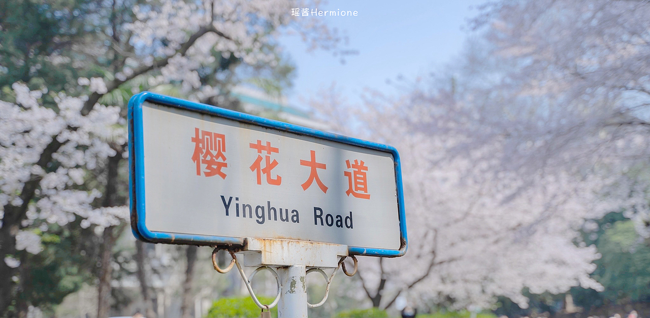 没有一个春天不会到来 | 时隔一年，武大樱花如约而至（图ZMjQ3MzgwNDM2） - 人文/纪实摄影 - 站酷设计师瑶酱Hermione原创素材 - 站酷ZCOOL