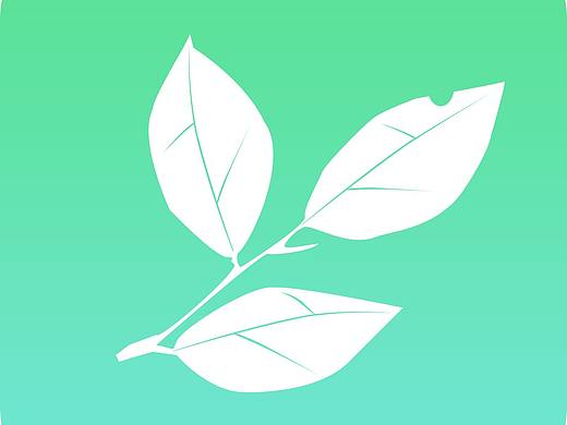 茶叶产品