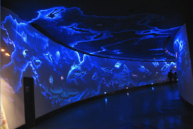 北京海洋馆荧光画3d画