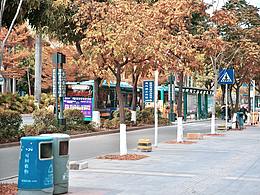 深圳的天空-春节无聊随手街拍